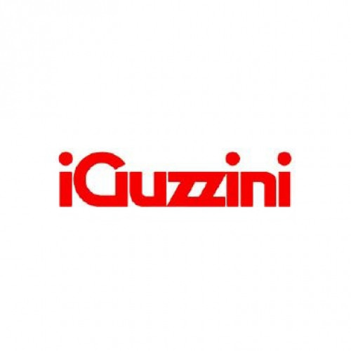 IGZ3.M963.001.0