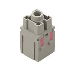 ILMCX 01 YF