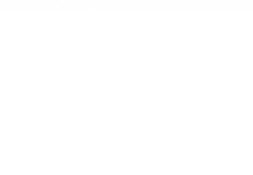 PALP538400