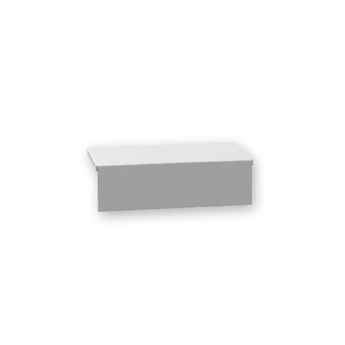 ARNPE060300