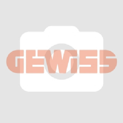 GEWGW66485