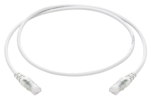 VIW03018.1