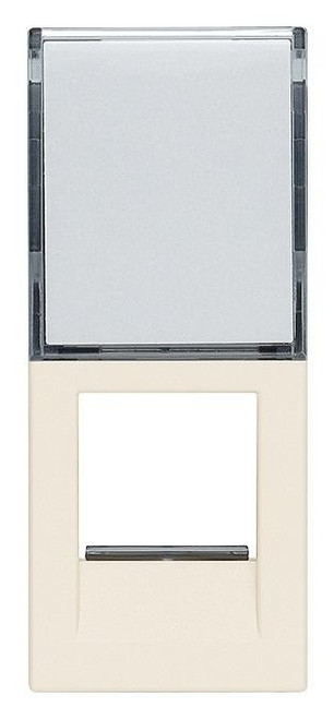 VIW30339.CC