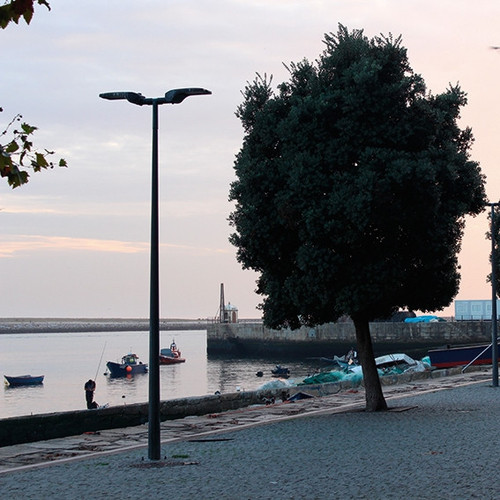 DIS42516000