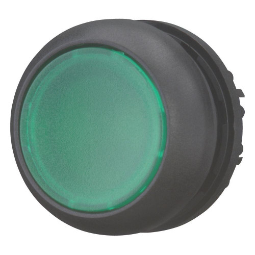 EAO216928
