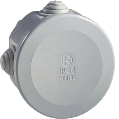 IBOB04462