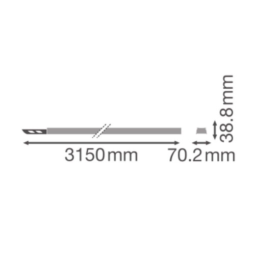 LDVTRSFLRAIL30005P
