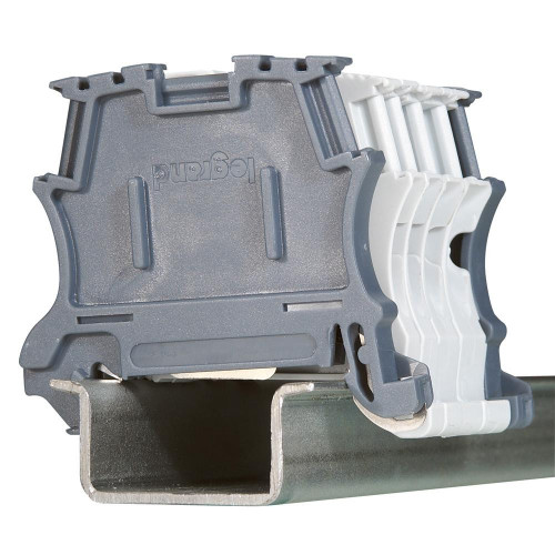 LEG037510