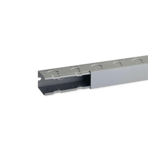IBOB08203