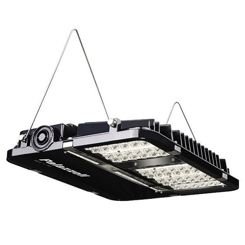 PAL818032EX