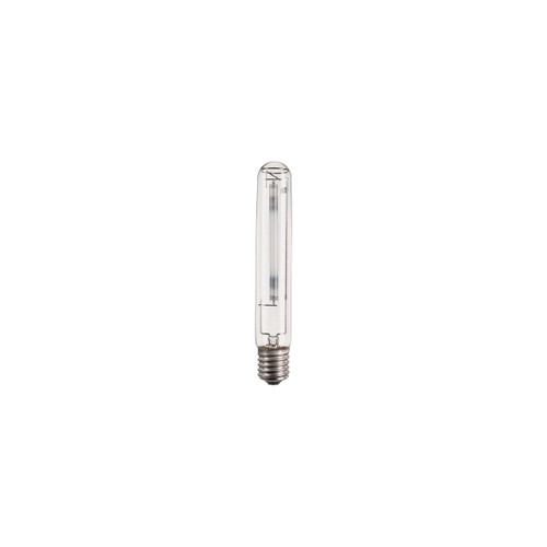 PHLSONTPLUS100