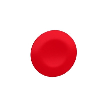 SNRZBA74