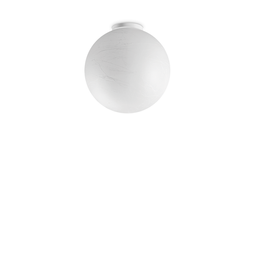 IUX317113