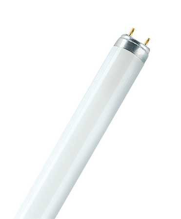 LDVL18930