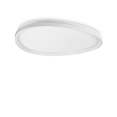 IUX341491