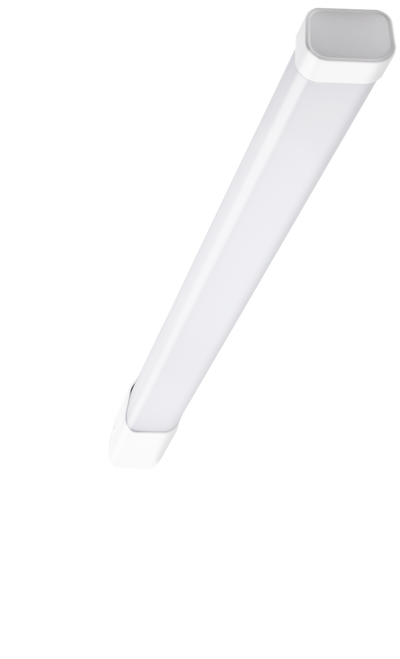 CUYSPL65-186040