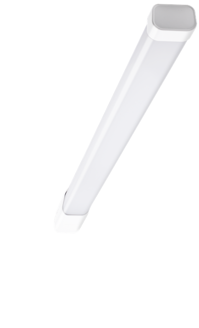 CUYSPL65-186040
