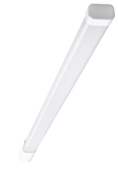 CUYSPL65-241240