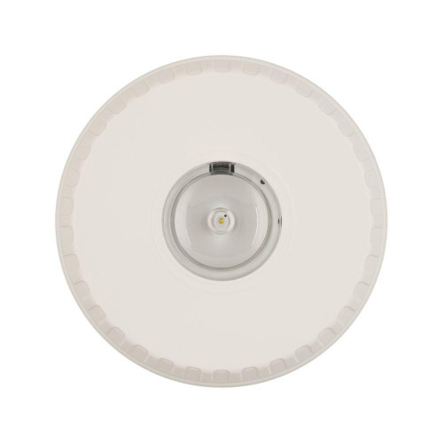 EAO812021FULL-0122X