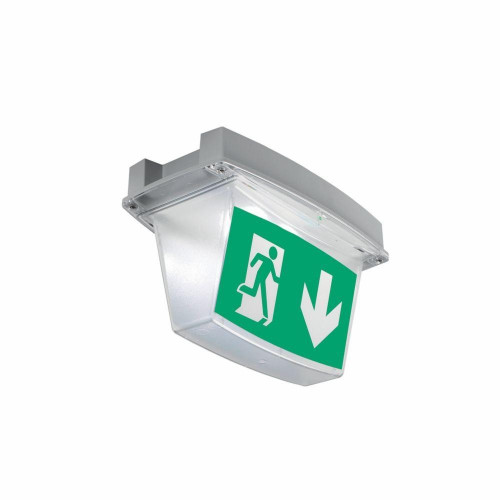 EAOIP65LEDEX230CG