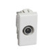 BTIAM5202P10