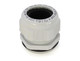 CEM4900.M63