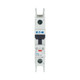EAO102080