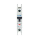 EAO102084