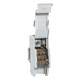 LEG004883