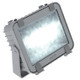 BEGF30LED