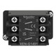 SNRXENG1491