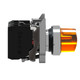 SNRXB4BK125M5