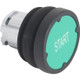 SNRZB4BC38031