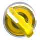 SNRZB4BK1483