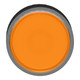 SNRZB4BW3537