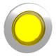 SNRZB4FH83