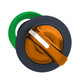 SNRZB5FK1253