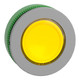 SNRZB5FV083C0