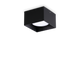 IUX317496