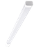 CUYSPL65-241240
