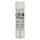 EAOC10G1
