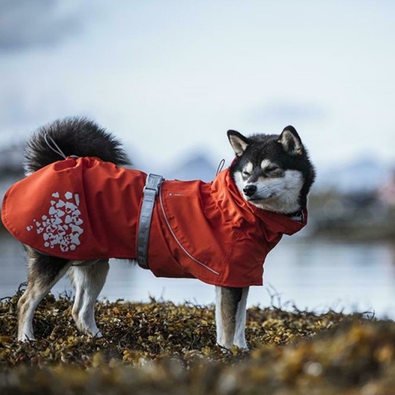 Hurtta Hurtta Monsoon ECO Dog Coat Waterproof Breathable Reflect Soft Collar Adjustable 