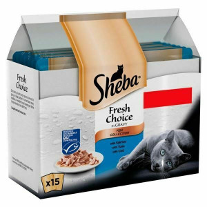 Sheba fresh choice in clearance gravy