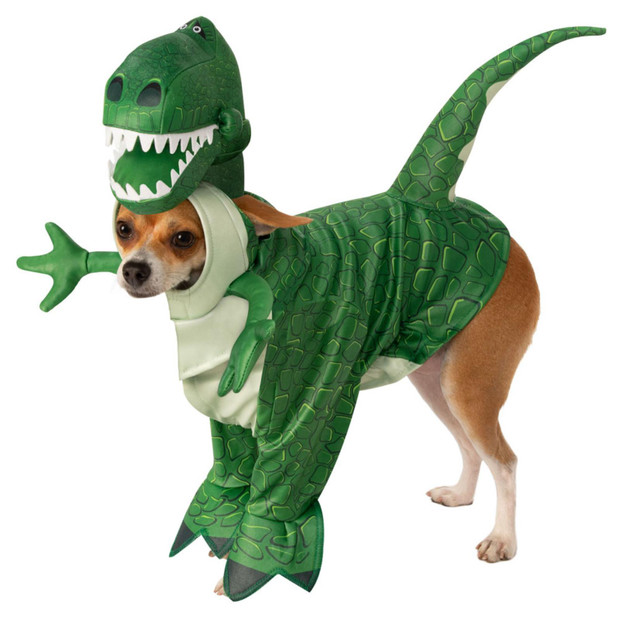 Official Disney Toy Story Rex Pet Dog Costume