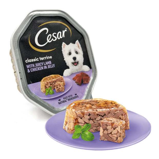Classic Terrine Wet Dog Food Juicy Lamb & Chicken in Jelly 14 x 150g