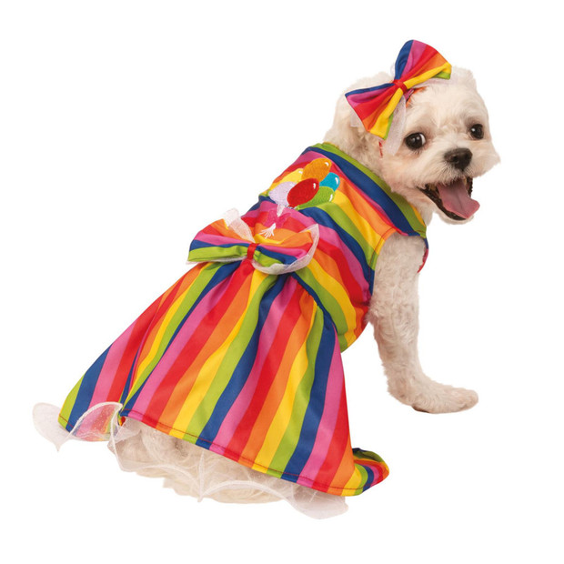 Animals Multicoloured Rainbow Dress Pet Costume
