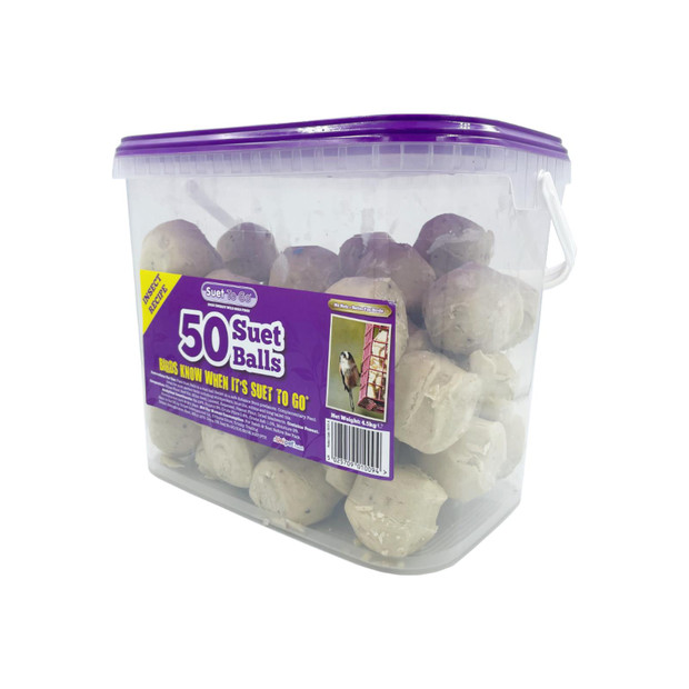 Suet to Go High Energy Wild Bird Food Insect Recipe 50 Suet Balls 