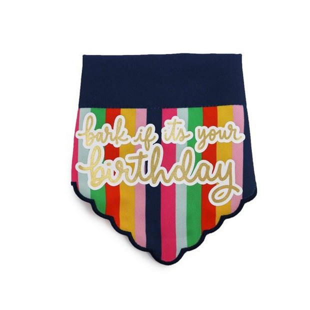 Ancol Pawty Dog Bandana