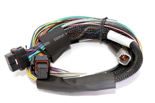 Haltech Elite 2500 Basic Univ. Wire Harness (HT-141302)