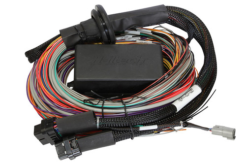 Haltech Elite 2500 Premium Univ. Wire Harness (HT-141304)